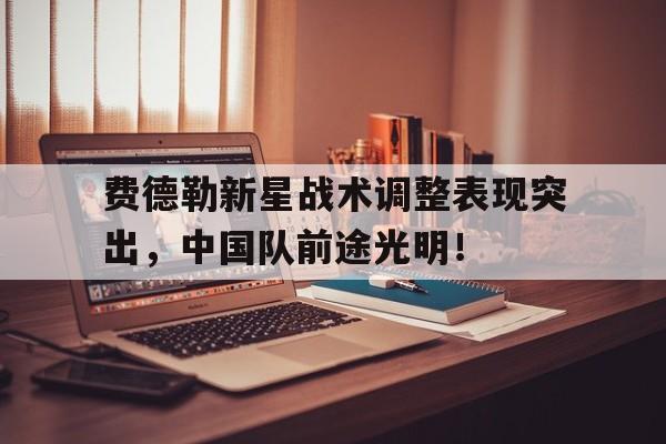 包含费德勒新星战术调整表现突出，中国队前途光明！的词条